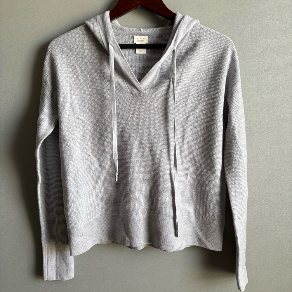 Aspen 100% Extra-fine Merino Wool Hooded Long Sleeve Sweater